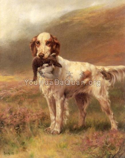 English Setter - 托马斯·布林克斯